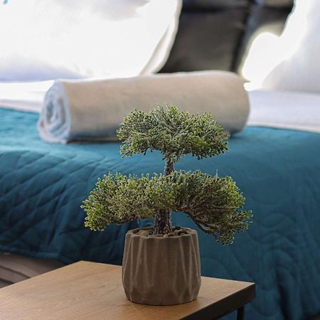 Stylish Studio Apartment With Balcony Gudauri Esterno foto